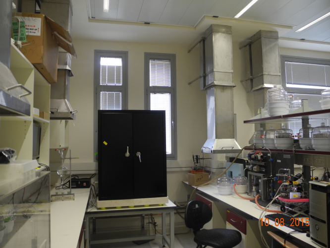 technion-15